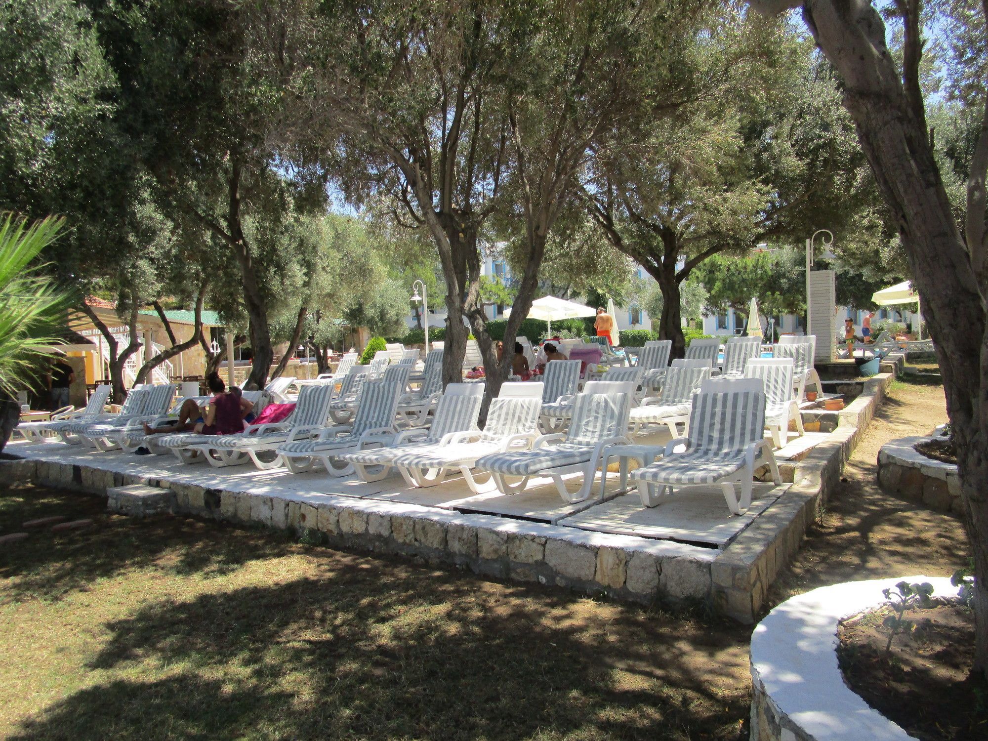 Club Mackerel Holiday Village Foça Eksteriør bilde